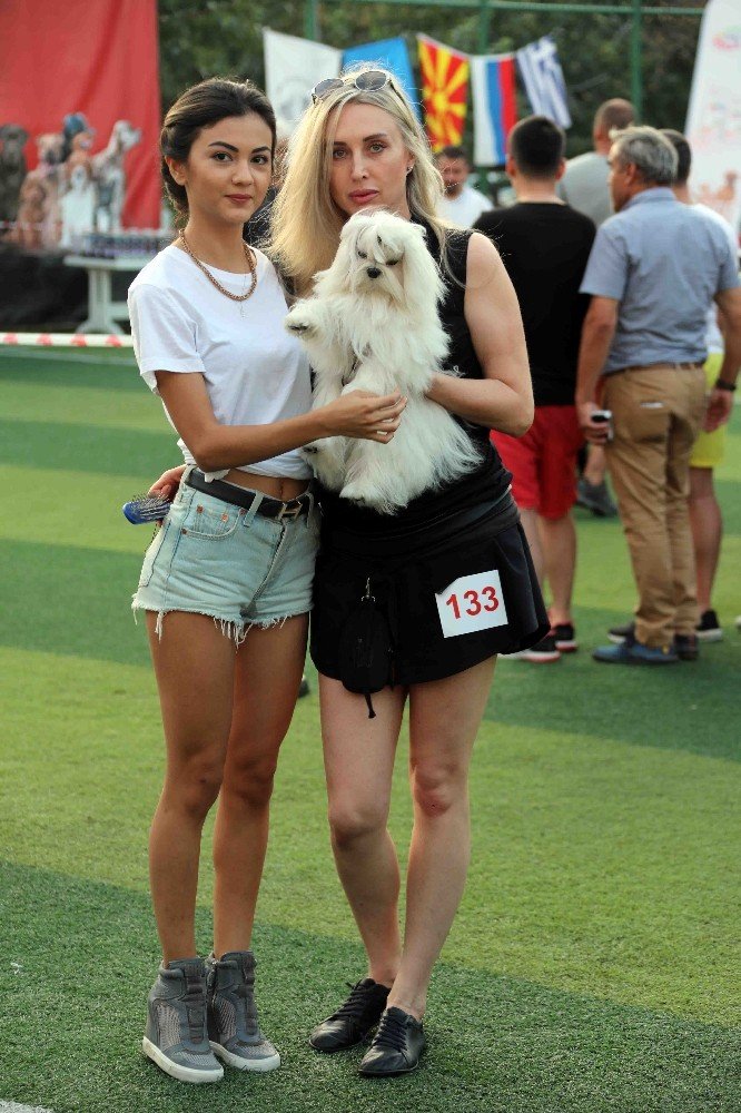 Bayraklı’da köpek ırkları yarıştı