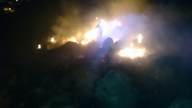 Malatya’da orman yangını
