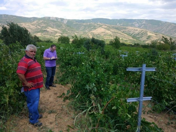 Bal ve üzüm yetiştiriciliği projeleri meyvelerini vermeye başladı