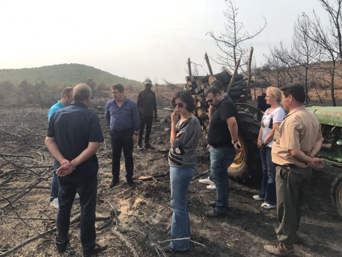 AK Parti milletvekili yanan alanda incelemelerde bulundu