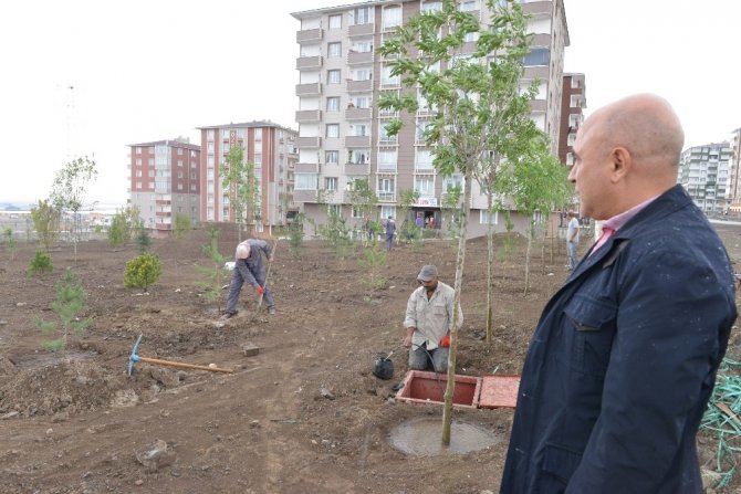 Ali Korkut: "Erzurum’a bozkır değil, yeşil görüntüsü yakışır"