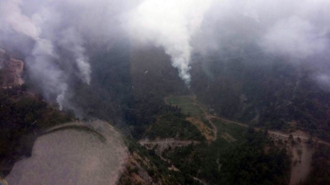 Teröristler 30 hektarlık ormana zarar verdi
