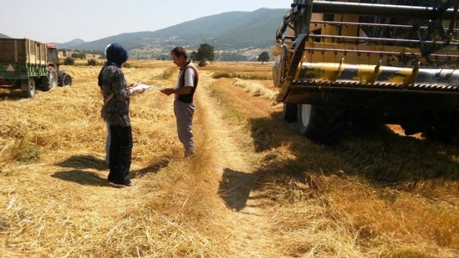Buğday hasadında dane kaybı düştü, 3,2 milyon lira kazanç sağlandı