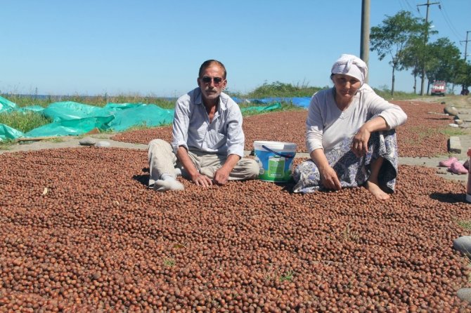 Yollar ve kaldırımlar fındık harmanı oldu