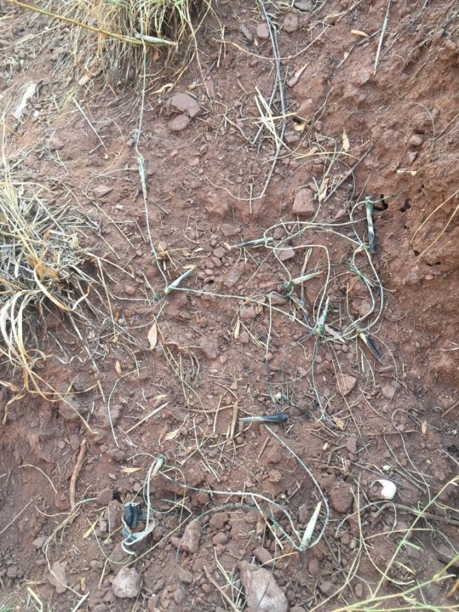 Keklik avlamak için kurulan 8 tuzak düzeneği ele geçirildi