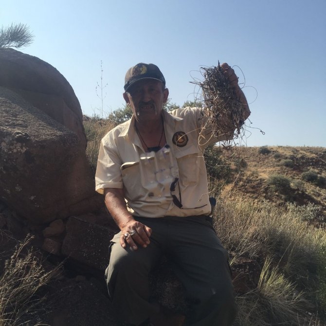 Keklik avlamak için kurulan 8 tuzak düzeneği ele geçirildi