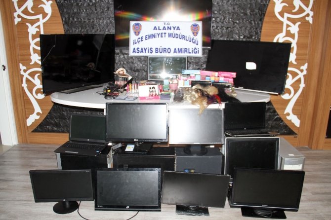 Papağan sayesinde hırsızlık çetesi çökertildi