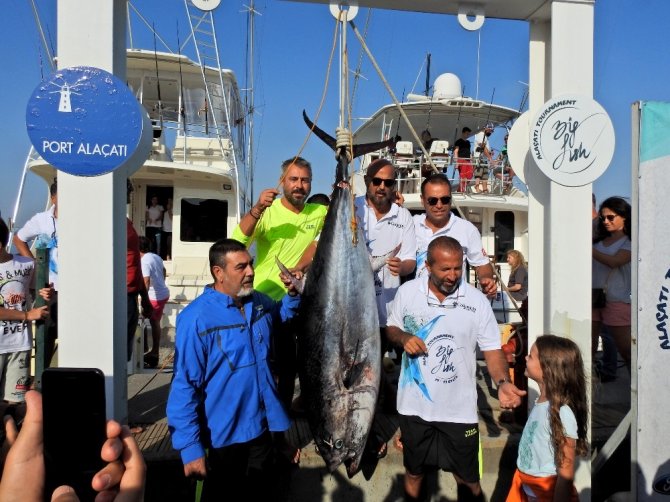 Alaçatı’da 3 balık yakalandı, yarım ton denize bırakıldı