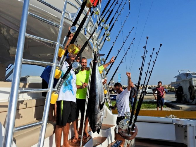 Alaçatı’da 3 balık yakalandı, yarım ton denize bırakıldı