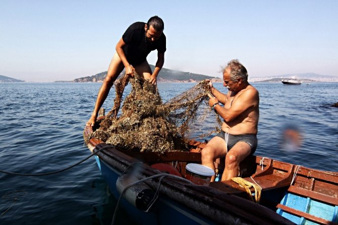 Marmara Denizi’ndeki mercanlar böyle kurtarıldı