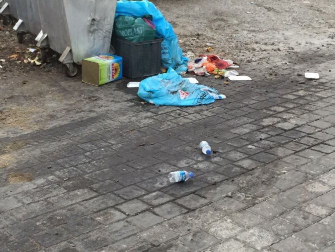 Milas’ın turizm cennetinde çöp krizi