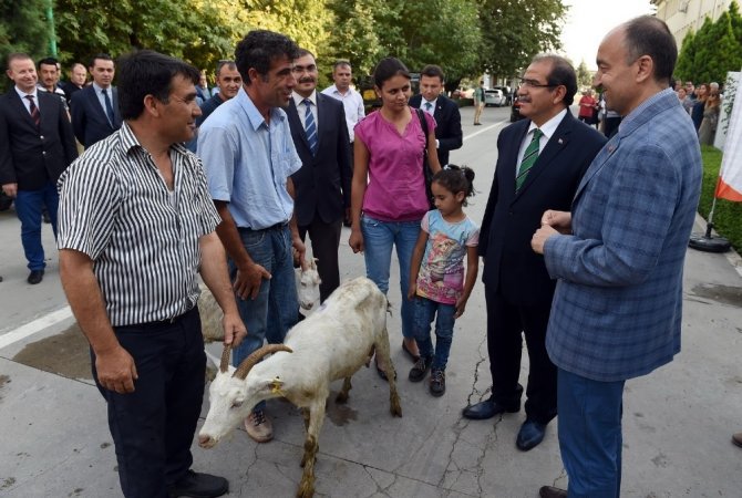 Uşak’ta 2 genç çiftçiye 74 adet keçi verildi