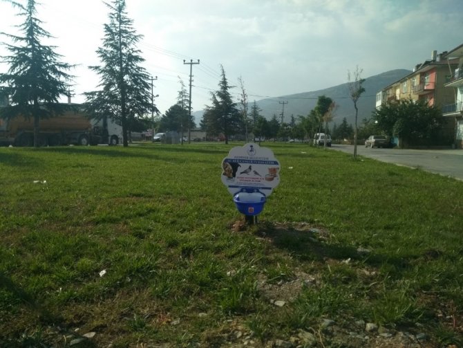 Akşehir Belediyesinden sokak hayvanları için su ve mama kapları