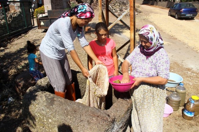 80 yıllık el yapımı taş havuzda ayakları ile ezip üzüm şırası üretiyorlar