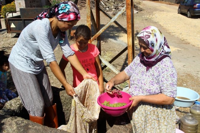 80 yıllık el yapımı taş havuzda ayakları ile ezip üzüm şırası üretiyorlar