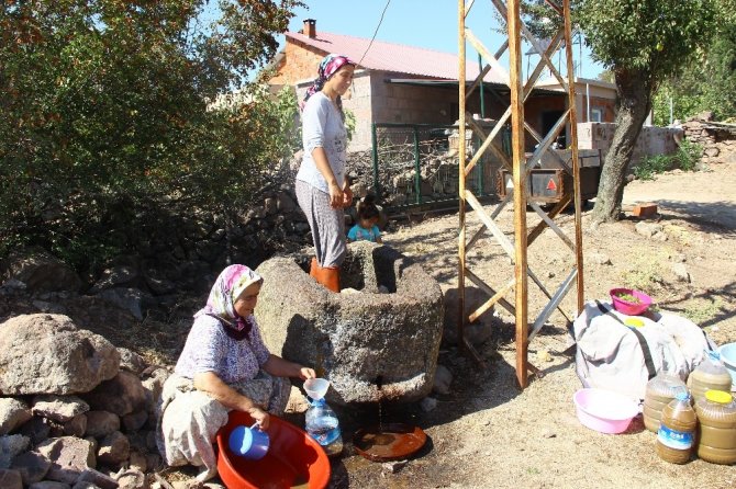 80 yıllık el yapımı taş havuzda ayakları ile ezip üzüm şırası üretiyorlar