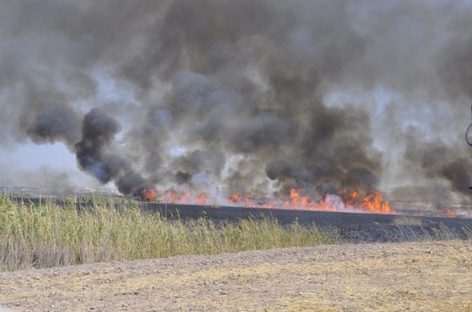 Mogan Gölü’nde sazlık alanlar yandı