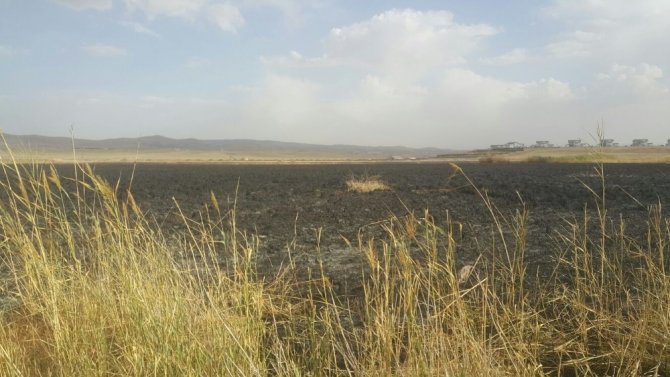 Mogan Gölü’nde sazlık alanlar yandı