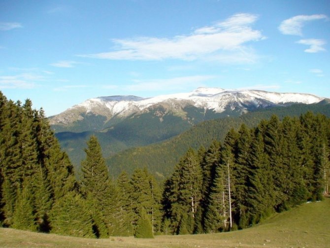 Türkiye’nin 222. tabiat parkı Giresun’daki Aymaç Parkı oldu