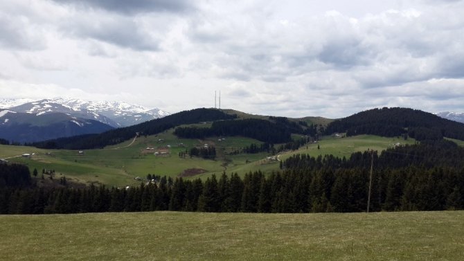 Türkiye’nin 222. tabiat parkı Giresun’daki Aymaç Parkı oldu