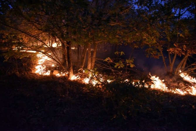 Eskişehir’deki orman yangınında 45 hektarlık alan zarar gördü