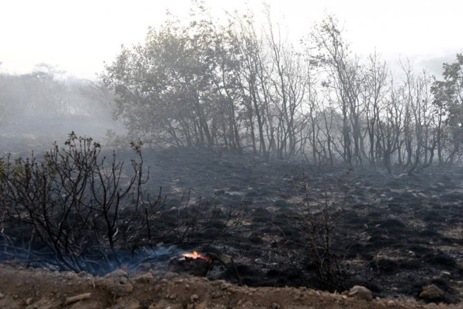 Eskişehir’deki orman yangınında 45 hektarlık alan zarar gördü