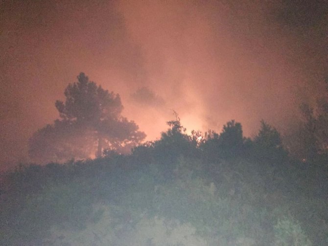 Sakarya’da orman yangını yağmurun sayesinde söndürüldü