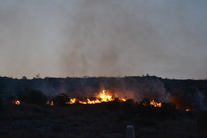 Adana’da makilik alanda yangın