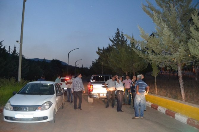 Adana’da makilik alanda yangın