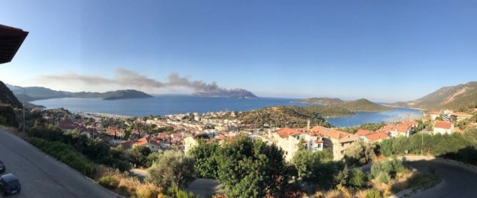 Meis Adası’nda orman yangını