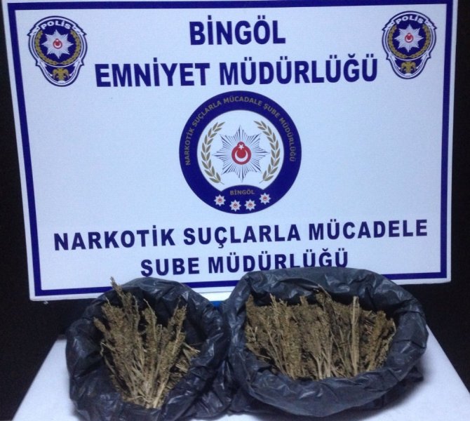 Bingöl’de 59 kilogram esrar ele geçirildi, 5 şüpheli tutuklandı
