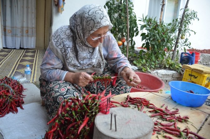 Bu köyde senede 100 ton pul biber üretiliyor