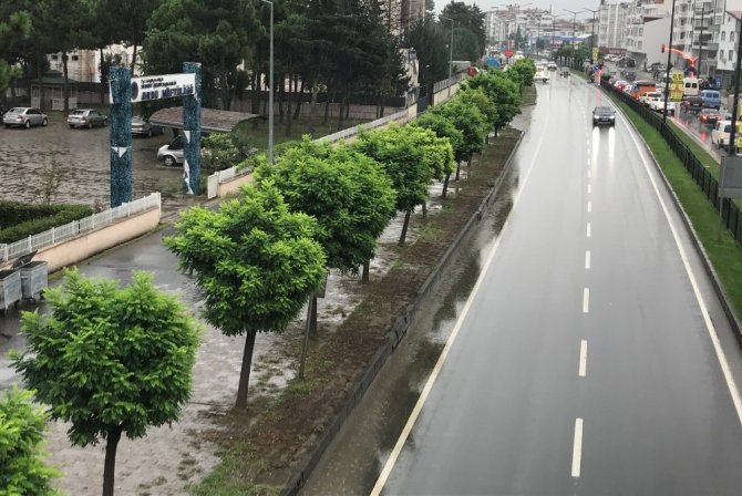 Ordu’da yollara 19 bin fidan