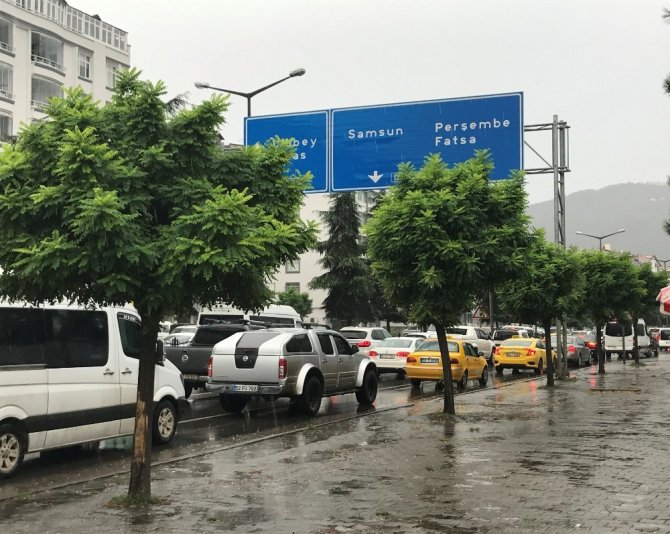 Ordu’da yollara 19 bin fidan