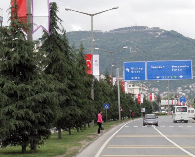 Ordu’da yollara 19 bin fidan