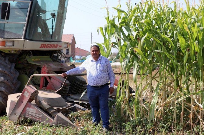 Aksaray’da ikinci ekim silajlık mısır hasadı başladı