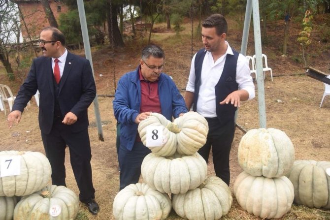 Başkan Yağcı Kestane Kabağı Festivali’ne katıldı