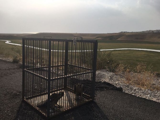 Atmaca avcısına büyük ceza