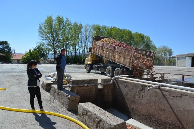 Meyve suyu farikası ankon elma alımına başladı