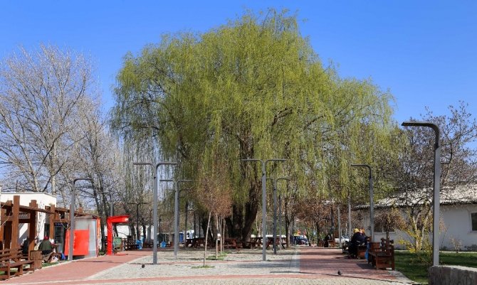 Çankaya Park, Uğur Mumcu parkı oluyor