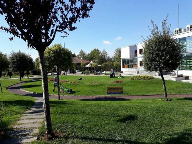 Gebze parklarında sonbahar çalışması