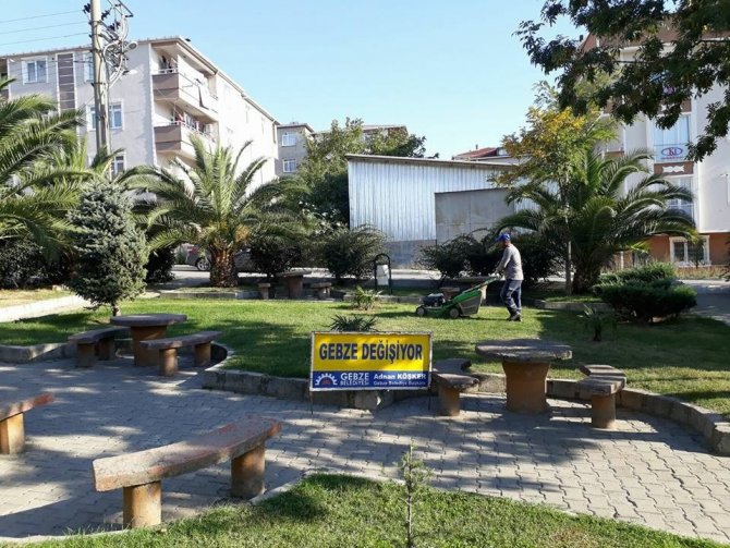 Gebze parklarında sonbahar çalışması