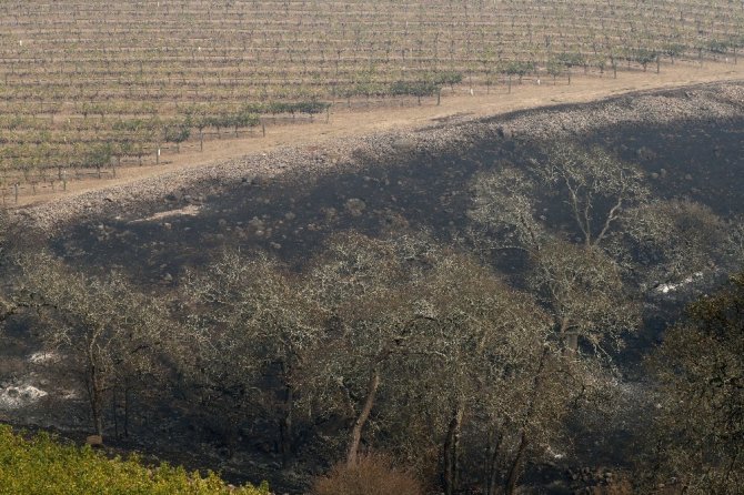 Kaliforniya’daki yangınlarda bilanço artıyor