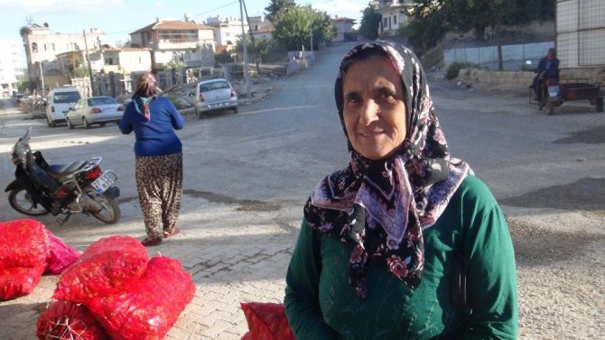 Ev hanımları salçalık biber alma telaşında