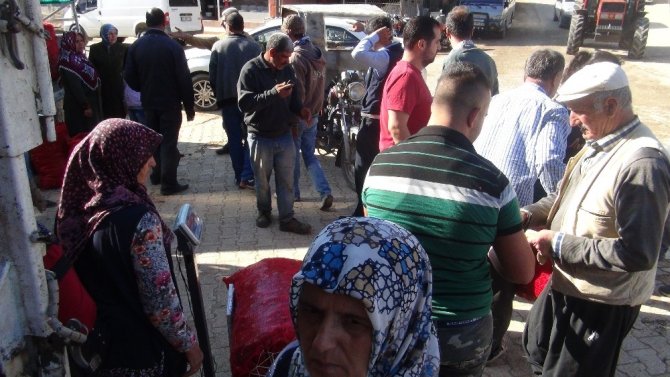 Ev hanımları salçalık biber alma telaşında