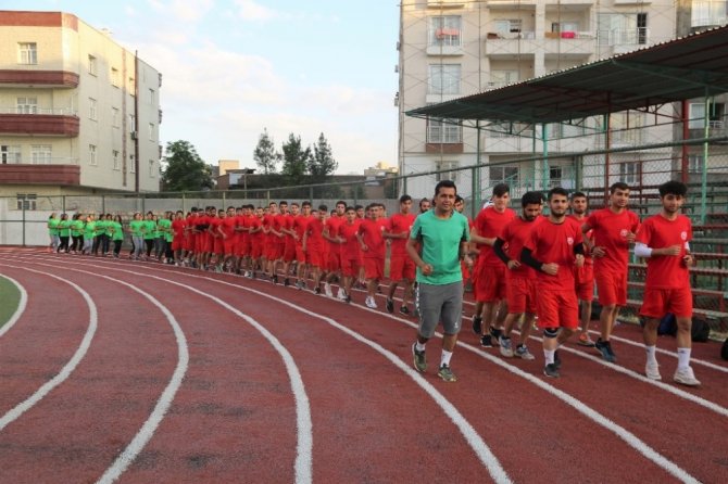 Cizre Belediyesi 35 öğrenciyi üniversite ve spor yüksekokullarına kazandırdı