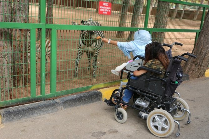Engellilerin hayvanat bahçesi keyfi
