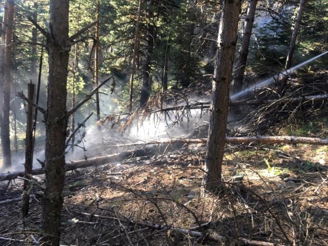 Tosya Ekincik köyü ormanlık alanda yangın