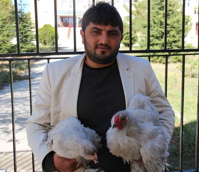 Altın yumurtlayan dernek