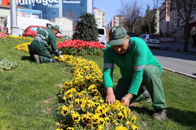 Bağcılar’da park ve bahçeler kışa dayanıklı çim ve çiçeklerle donatılıyor